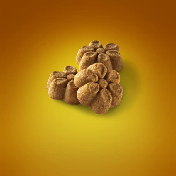 Fruitables Baked Dog Treats, Healthy Pumpkin Treat for Dogs, Low Calorie & Delicious, Free of Wheat, Corn and Soy, Made in the USA