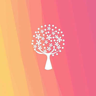 Natural Organic Deodorant Cream with Tangerine Spice Scent, Shea Butter and Coconut Oil, Aluminum Free Deodorant by Stinkbug Naturals, 1.7 Ounce