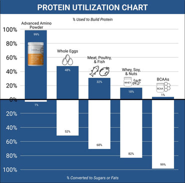 Advanced Bionutritionals – Advanced Amino Powder, Amino Acid Supplement, Build Muscle, Post Workout Recovery, Energy,Non-GMO, Gluten Free, Dairy Free, Vegan (30 Servings) (9.52oz, Citrus Zest)