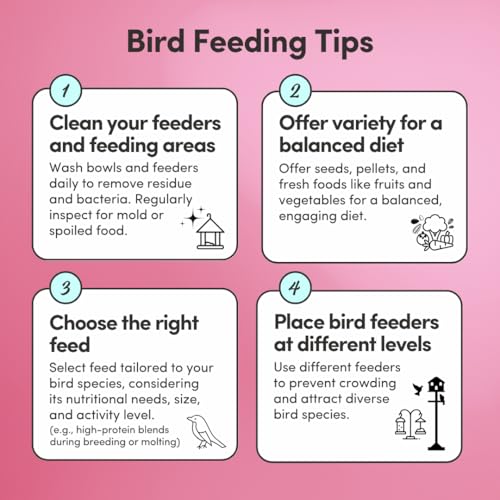 Mycelium Organic Pet Bird Premier Bird Seed (5 LBS) | Premium Food for Parrots, Cockatoos, & Large Birds | High-Protein, Vitamin-Fortified, Growth & Development Support | USA Made, Non-GMO