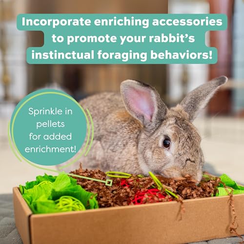 Oxbow Essentials Rabbit Food, Made with Oxbow Timothy Hay for Rabbit, Pet Pellets with Vitamins & Minerals, Small Animal Pet Products, Bunny Food, Made in USA, High Fiber