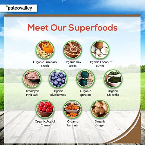 Paleovalley: Superfood Bars with Grass Fed Bone Broth Protein - Dark Chocolate Chip - 12 Bars - All Organic Ingredients with 10 Antioxidant-Rich Superfoods - No Gluten, Grains, Soy or Added Sugar