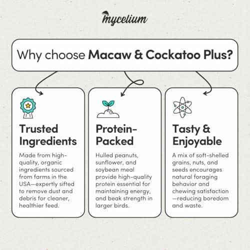 Mycelium Organic Macaw & Cockatoo Plus Bird Food (5 LBS) | High-Protein Bird Seed for Large Birds | Vitamin-Enriched Daily Nutrition | Skin & Feather Support | Non-GMO & USA Made