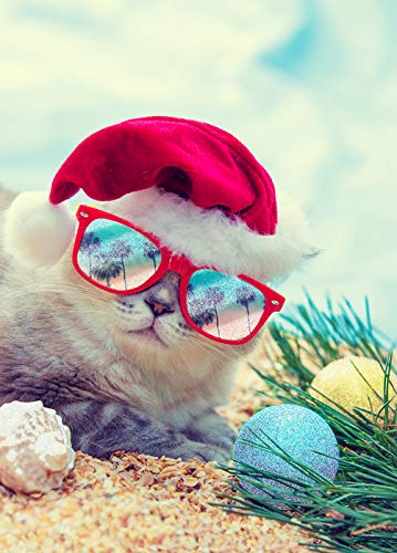 Performing Arts Luxury Funny Cat Holiday Cards with Non-Flake Glitter - Boxed set of 14 Xmas Greeting Cards with Envelopes - Santa Hat Cat design for cats lovers, featuring a beach theme - Made in USA