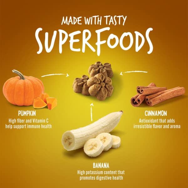 Fruitables Baked Dog Treats, Healthy Pumpkin Treat for Dogs, Low Calorie & Delicious, Free of Wheat, Corn and Soy, Made in the USA