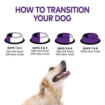 Wellness Complete Health Dry Dog Food, Wholesome Grains, Natural, Chicken & Brown Rice Recipe