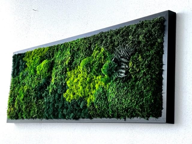 Unique Moss Art - Live Preserved Moss Wall Art - Moss Wall Wooded frame Art - Custom made - Home Decor - Well Decor - Office Decor. Handmade - Made in USA (13" x 17", Black)