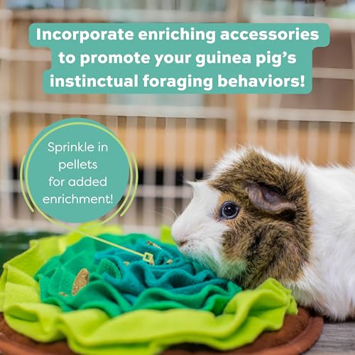 Oxbow Essentials Adult Guinea Pig Food - All Natural Adult Guinea Pig Pellets- No Artificial Ingredients- Veterinarian Recommended- All Natural Vitamins & Minerals- Made in the USA - 25 lb.