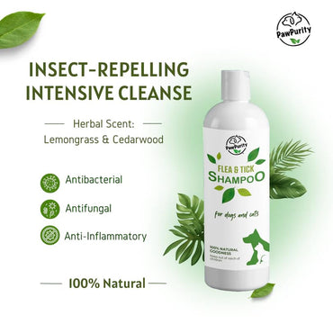 PawPurity Flea/Tick Shampoo, Natural Plant & Mineral-Based Ingredients Only, Improves Dog & Cat Skin & Coat Health, Honeysuckle-Citrus Scent, Eco Friendly Product & Packaging Made in USA (8OZ)