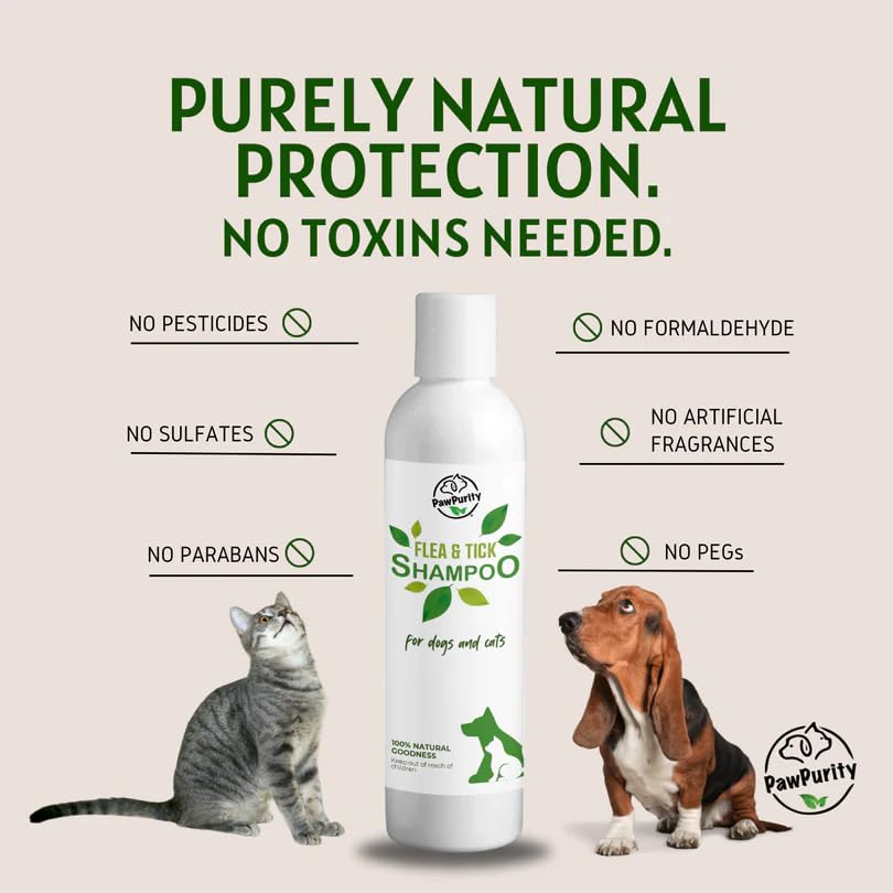 PawPurity Flea/Tick Shampoo, Natural Plant & Mineral-Based Ingredients Only, Improves Dog & Cat Skin & Coat Health, Honeysuckle-Citrus Scent, Eco Friendly Product & Packaging Made in USA (8OZ)
