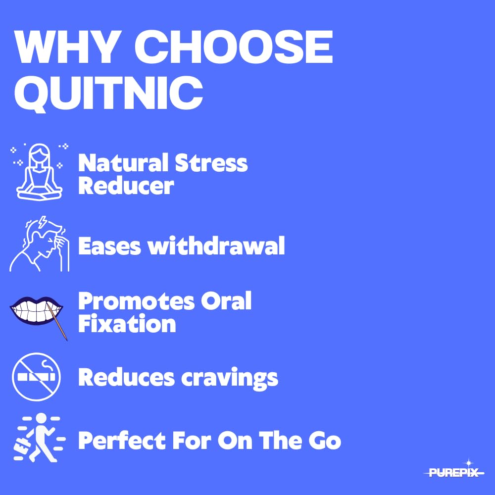 Quit-NIC Infused Flavored Toothpicks - Nicotine Free, Non-GMO Kosher Vegan Variety Pack, 20 Count (Pack of 4) - Flavored Toothpicks for Adults to Help Quit Smoking and Quit-NIC