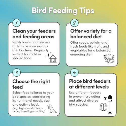 Mycelium Organic Macaw & Cockatoo Plus Bird Food (5 LBS) | High-Protein Bird Seed for Large Birds | Vitamin-Enriched Daily Nutrition | Skin & Feather Support | Non-GMO & USA Made
