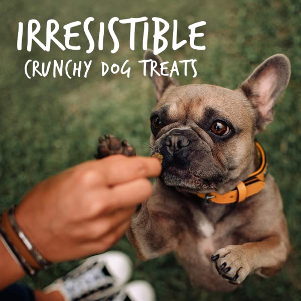 Fruitables Baked Dog Treats, Healthy Pumpkin Treat for Dogs, Low Calorie & Delicious, Free of Wheat, Corn and Soy, Made in the USA
