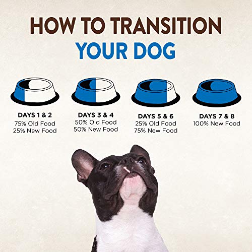 Wellness CORE Grain-Free High-Protein Large Breed Adult Dry Dog Food, Made in USA with Real Chicken & Natural Ingredients, With Glucosamine & Chondroitin to Support Joint Health