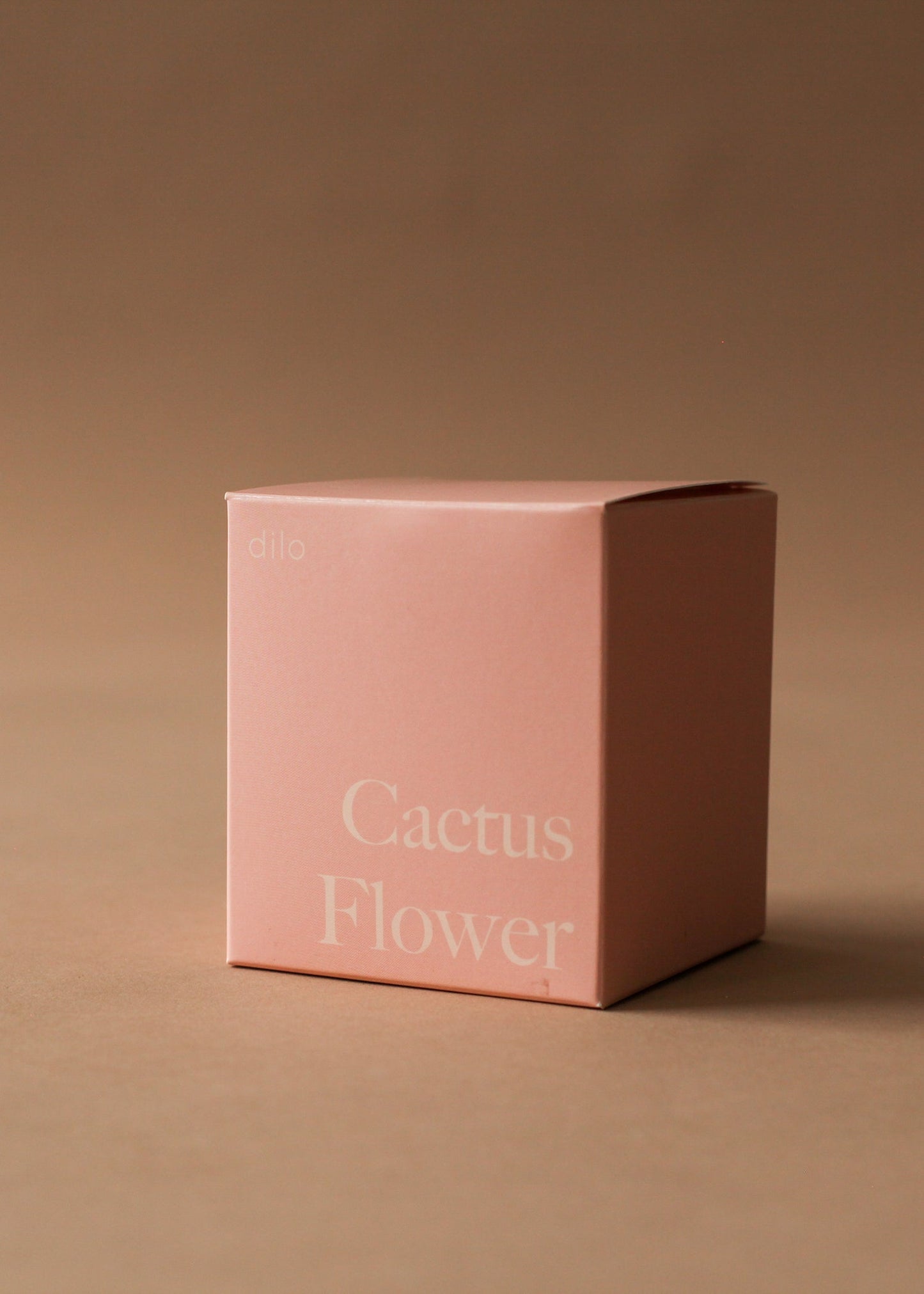 Dilo Elsewhere Candle