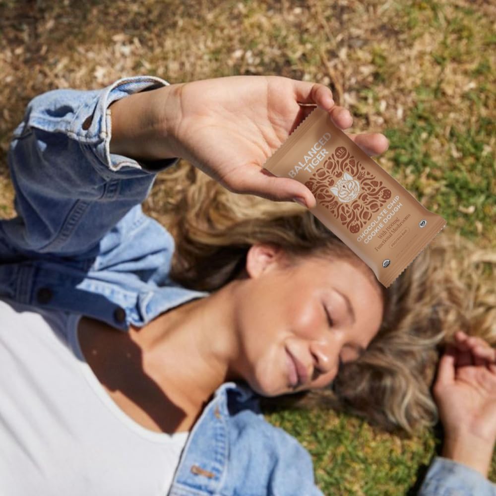 Organic Functional Mushroom Vegan Protein Bars | Made in USA | Full Dose (1500mg) Lions Mane, Chaga, Reishi & Cordyceps Bars | Plant Protein Bars w/Adaptogens & Superfoods
