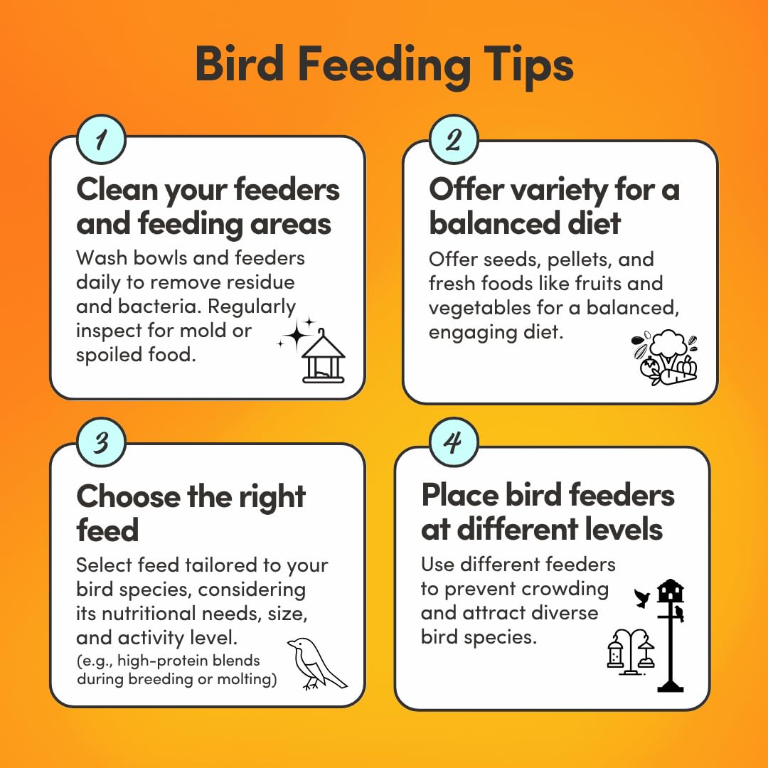Mycelium Organic Finch & Sparrow Plus Feed (5 LB Bag) | High-Protein, Vitamin-Enriched Wild Bird Seed for Finches & Sparrows | Easy to Digest Seeds, Filler-Free | Non-GMO, Made in USA