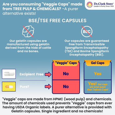 Dr. Clark Ginger Root Supplement - Digestive Support - 500 mg 100 Gelatin Capsules