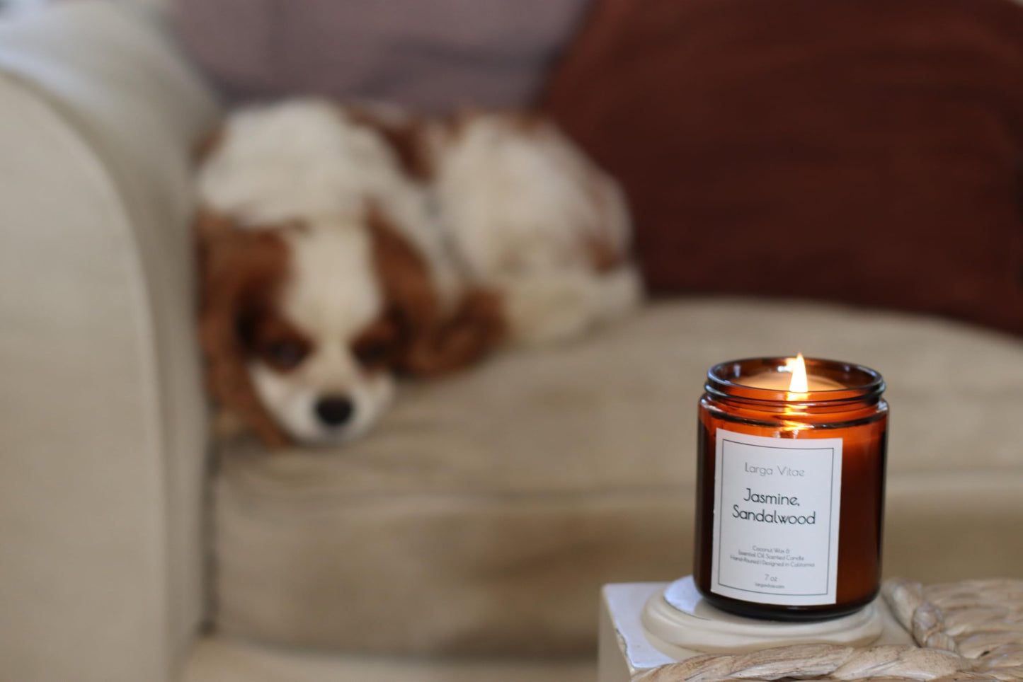 All-Natural Jasmine, Sandalwood Aromatherapy Essential Oil Candle, Safe for People and Pets, Made with Pure Sustainable Organic Vegan Coconut Wax, Allergy Friendly, Non Toxic, Zero Waste