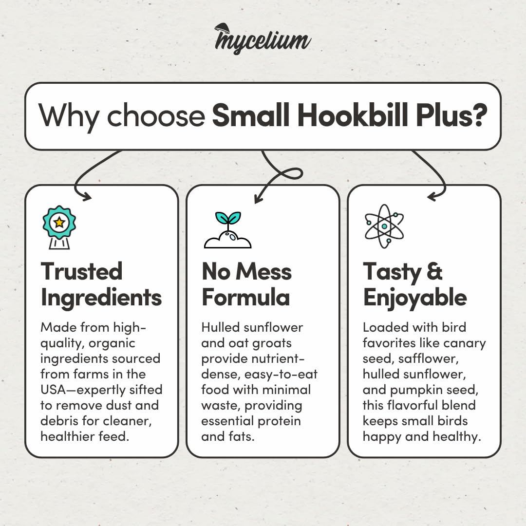 Mycelium Organic Small Hookbill Plus Feed (5 LBS) | High-Protein Bird Food for Parrotlets, Lovebirds, Cockatiels & Conures | Brain & Heart Support | Omega-Rich, Vitamin-Fortified | Non-GMO, USA Made