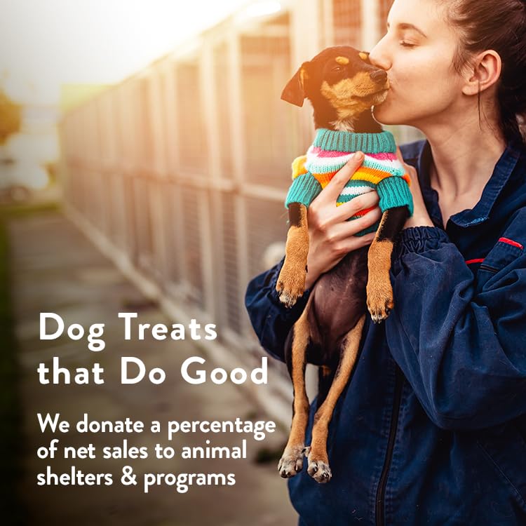 Portland Pet Food Company Pumpkin Healthy Dog Treats - Multipack, Grain-Free, Human-Grade, All Natural Dog Training Treats & Biscuits Made in the USA - 3-Pack (5 oz)