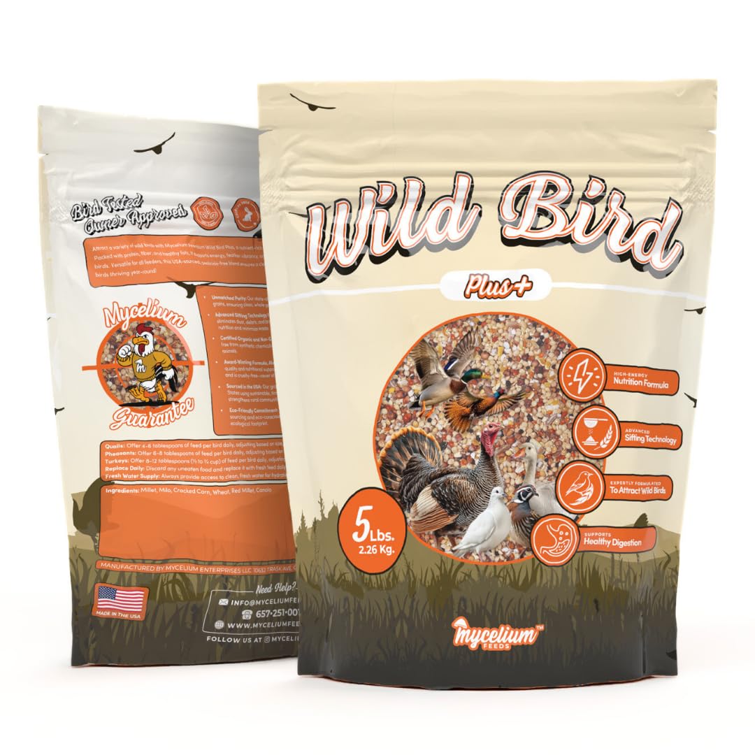 Mycelium Wild Bird Plus Feed (5 LBS) | Organic, Shell-Free Bird Seed for Doves, Pigeons, Quail & Game Birds | Clean, Low-Mess Wild Bird Food for Outside Feeders | No Sunflower | Non-GMO, Made in USA