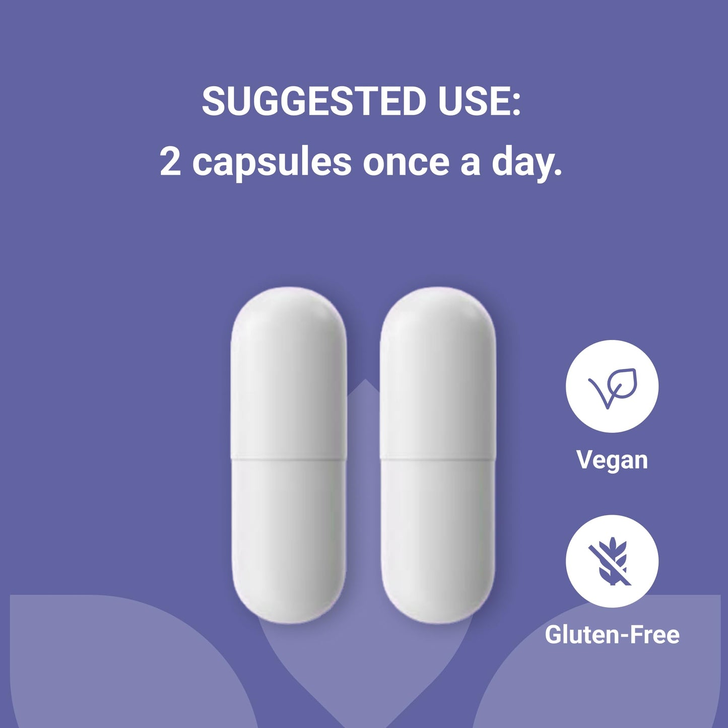 Luma Nutrition Probiotics 60 Billion CFU with Prebiotics - Probiotics for Women and Men - Formulated for Digestive Enzyme Health - Vegan & Gluten-Free - 60 Capsules