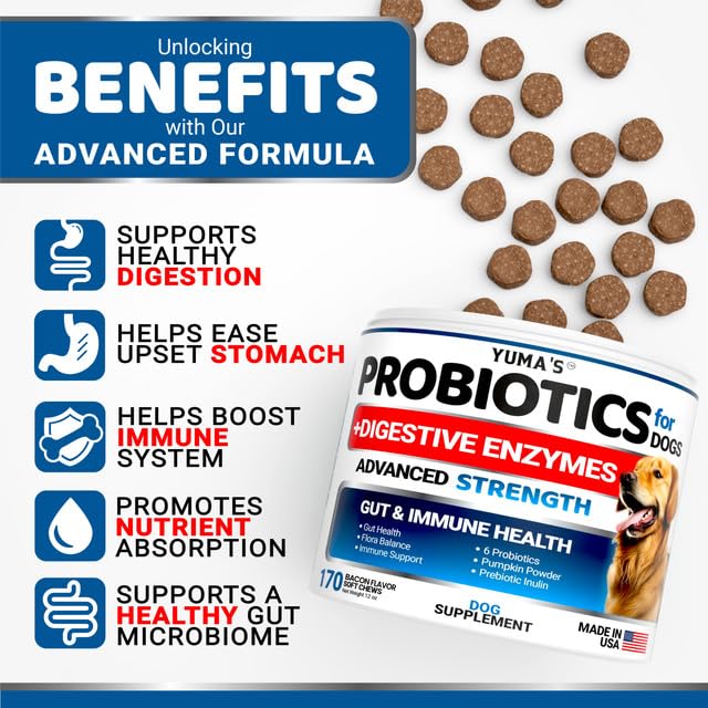 Probiotics for Dogs and Digestive Enzymes - Dog Probiotic - Anti Diarrhea, Upset Stomach & Gas Relief, Canine Prebiotic - Pet Fiber Supplement - Bacon Flavor