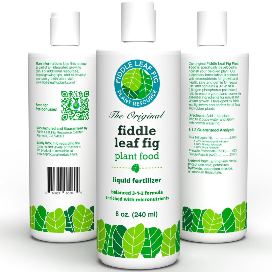 Fiddle Leaf Fig Tree Plant Food for Ficus Lyrata (and Ficus Audrey) - Enriched with Calcium, Urea-Free, and Featuring an NPK Ratio of 3-1-2 to Promote Robust Roots, Stems & Leaves (8 Ounces)