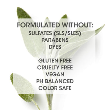 SEVEN Rinzu COLOR Conditioner Hair Care for Color-Treated Hair, Sulfate Free, Moisturizes, Extends Retention with Argan Oil, Pro Vitamin B5, Sunflower Seed for Men & Women, Made in USA, 10.7 oz.