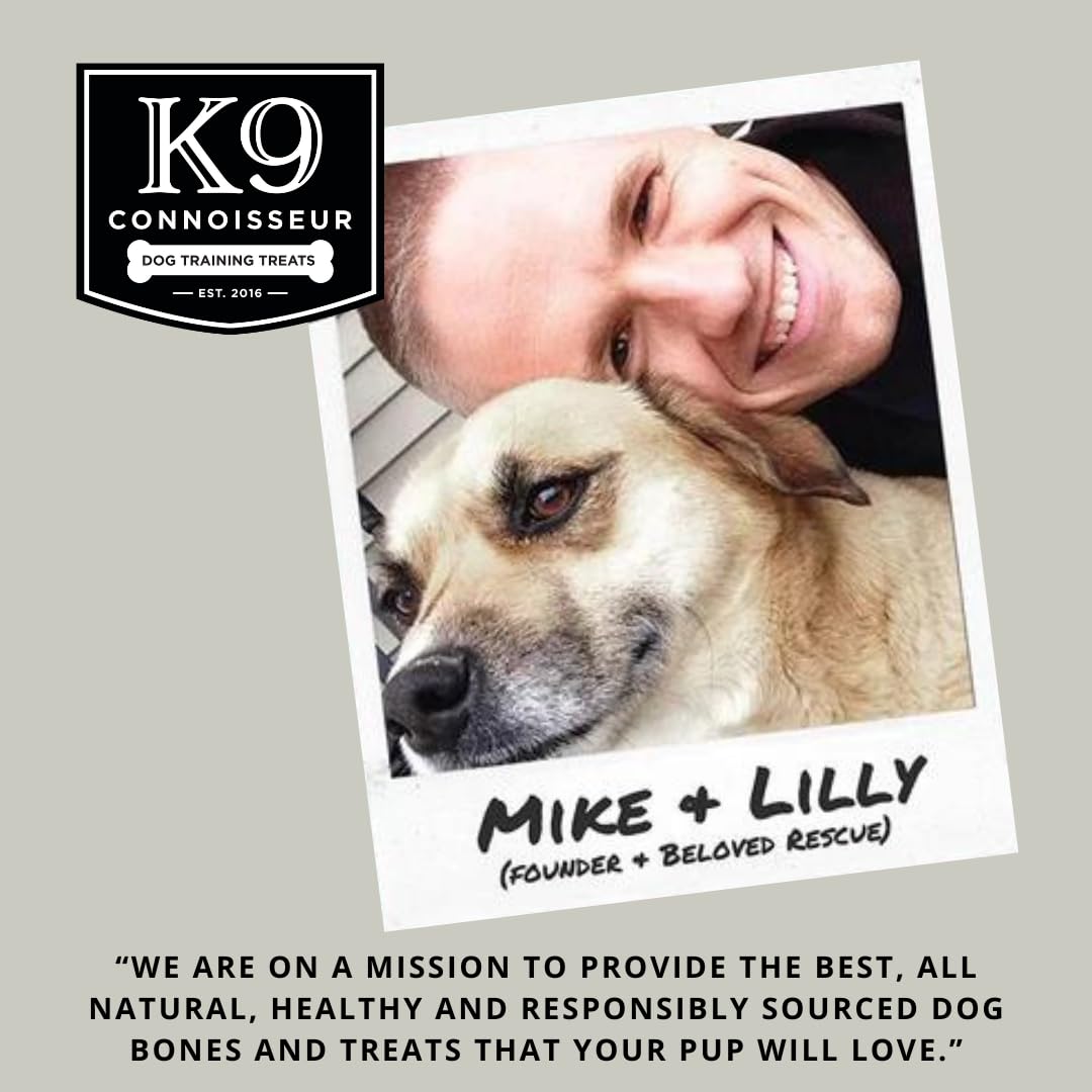 K9 Connoisseur Low to Odor Free Slow Roasted Beef Lung Dog Treats Made in USA, One Ingredient Dog Treats & All Natural, Grain Free Treat for All Breeds & Sizes - 2.5 Pounds