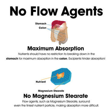 Dr Clark Store B Vitamin Complex (SuperB100), 501 mg 100 Gelatin Capsules