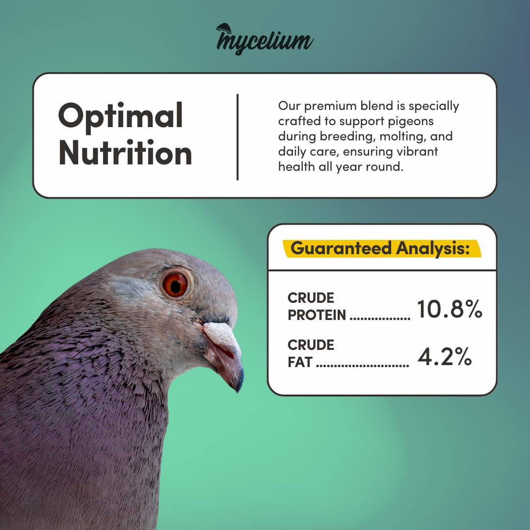 Mycelium Organic Pigeon Feed (5 LB Bag) | Complete Wild Bird Food for Energy & Daily Nutrition | Natural Seed Blend for Ground Feeders | Non-GMO, No Fillers or Additives, Made in USA