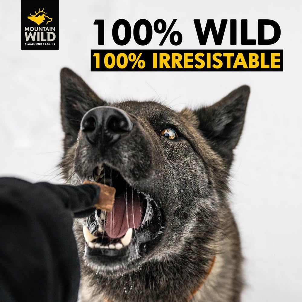 MOUNTAIN WILD Venison Jerky Training Treats for Dogs – Elk & Deer Meat Protein Dog Treat High-Value Reward – All-Natural, No Fillers, Grain-Free, No Preservatives – 8 oz (2 Pack)