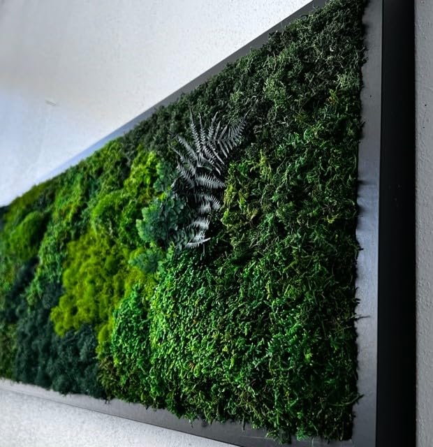 Unique Moss Art - Live Preserved Moss Wall Art - Moss Wall Wooded frame Art - Custom made - Home Decor - Well Decor - Office Decor. Handmade - Made in USA (13" x 17", Black)