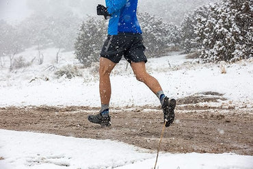 GRIP6 Crew Socks - Merino Wool Socks Made in the USA, Lightweight Wool Hiking Socks, Crew Socks for Men and Women - Cold Weather Gear