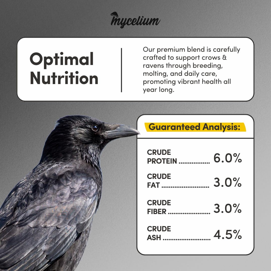 Mycelium Premium Whole Corn – 5LB Organic Non-GMO Bird Food for Crows, Ravens, Ducks, Geese, and Wild Birds – High-Energy No-Mess Corn Feed for Ground Feeding and Platform Feeders – USA Grown