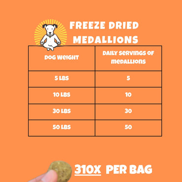 Visionary Pet Foods Chicken Freeze Dried Dog Food, Healthy Training Treats for Puppy or Large Dogs, High Protein, Low Carb, Grain Free, Weight Control, Single Ingredient No Additives, Value Size 25oz