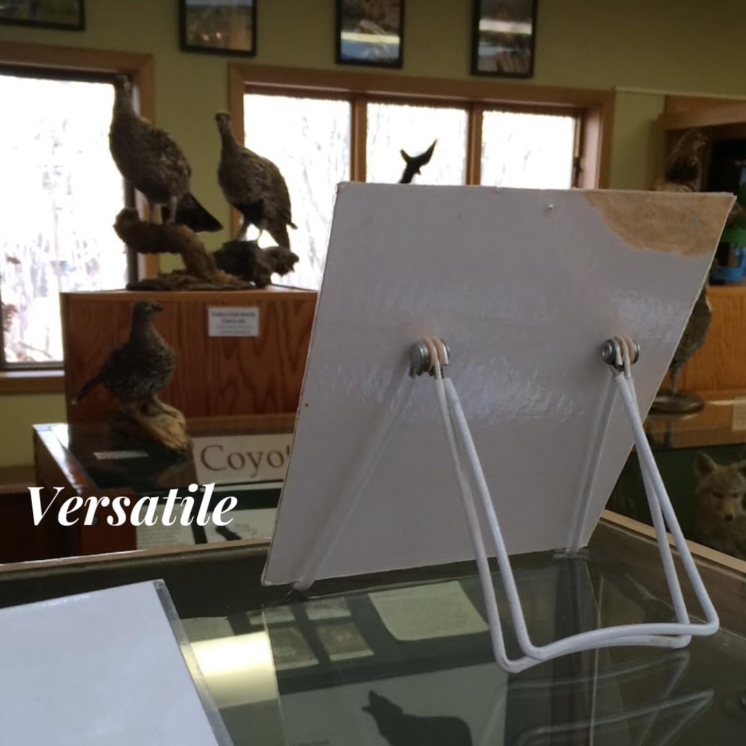 KINGDOM SOLUTIONS MADE IN USA Sturdy & Durable Adjustable Metal Easels to Display Books, Frames, Comics, Plates & More - Unique on the Market