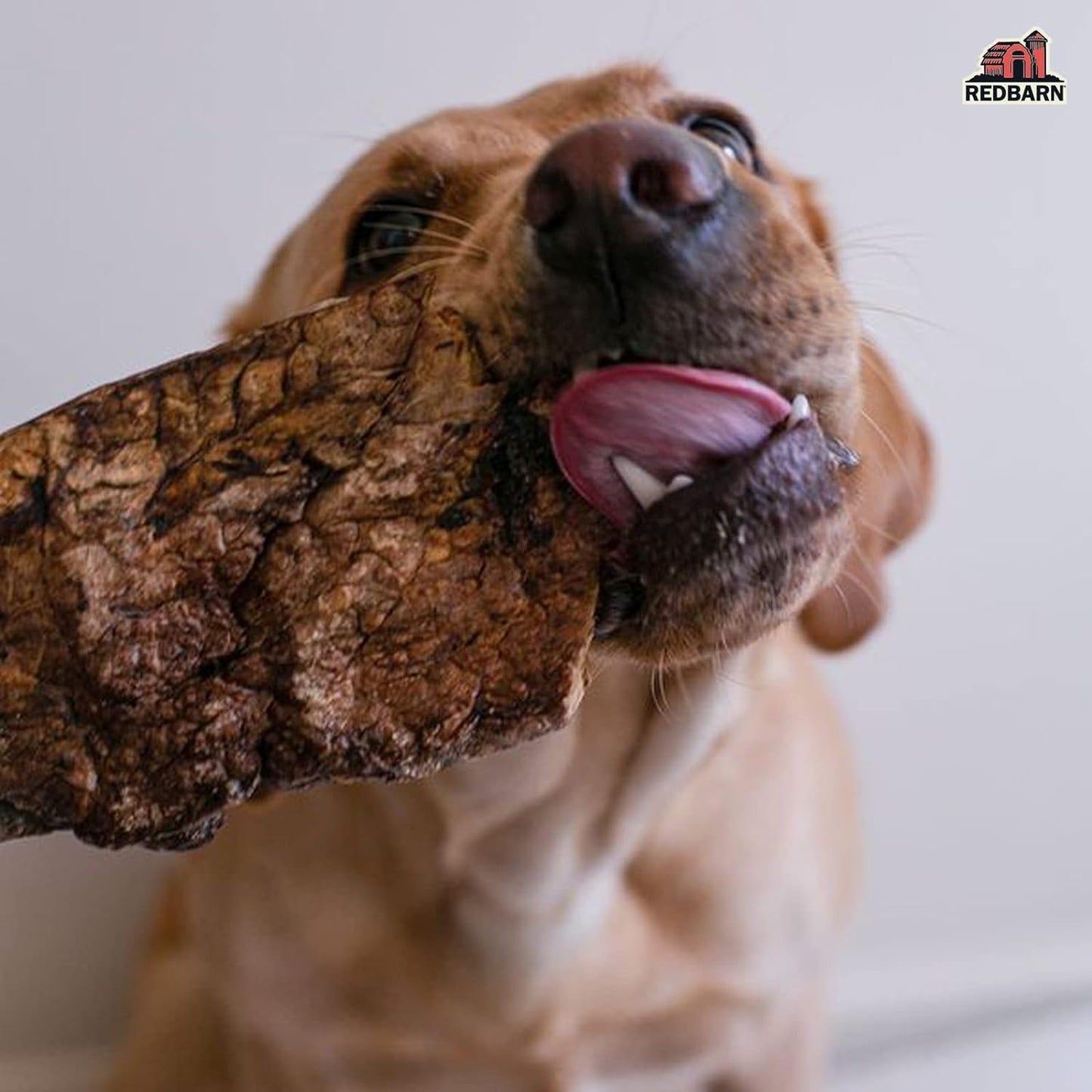 Redbarn Pet Products Natural Choppers Beef Lung Chew Treats for Dogs - Premium Made in USA Rawhide-Free Single Ingredient High Protein Low Fat