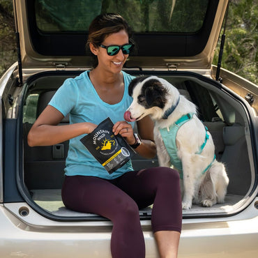 MOUNTAIN WILD Venison Jerky Training Treats for Dogs – Elk & Deer Meat Protein Dog Treat High-Value Reward – All-Natural, No Fillers, Grain-Free, No Preservatives – 8 oz (3 Pack)