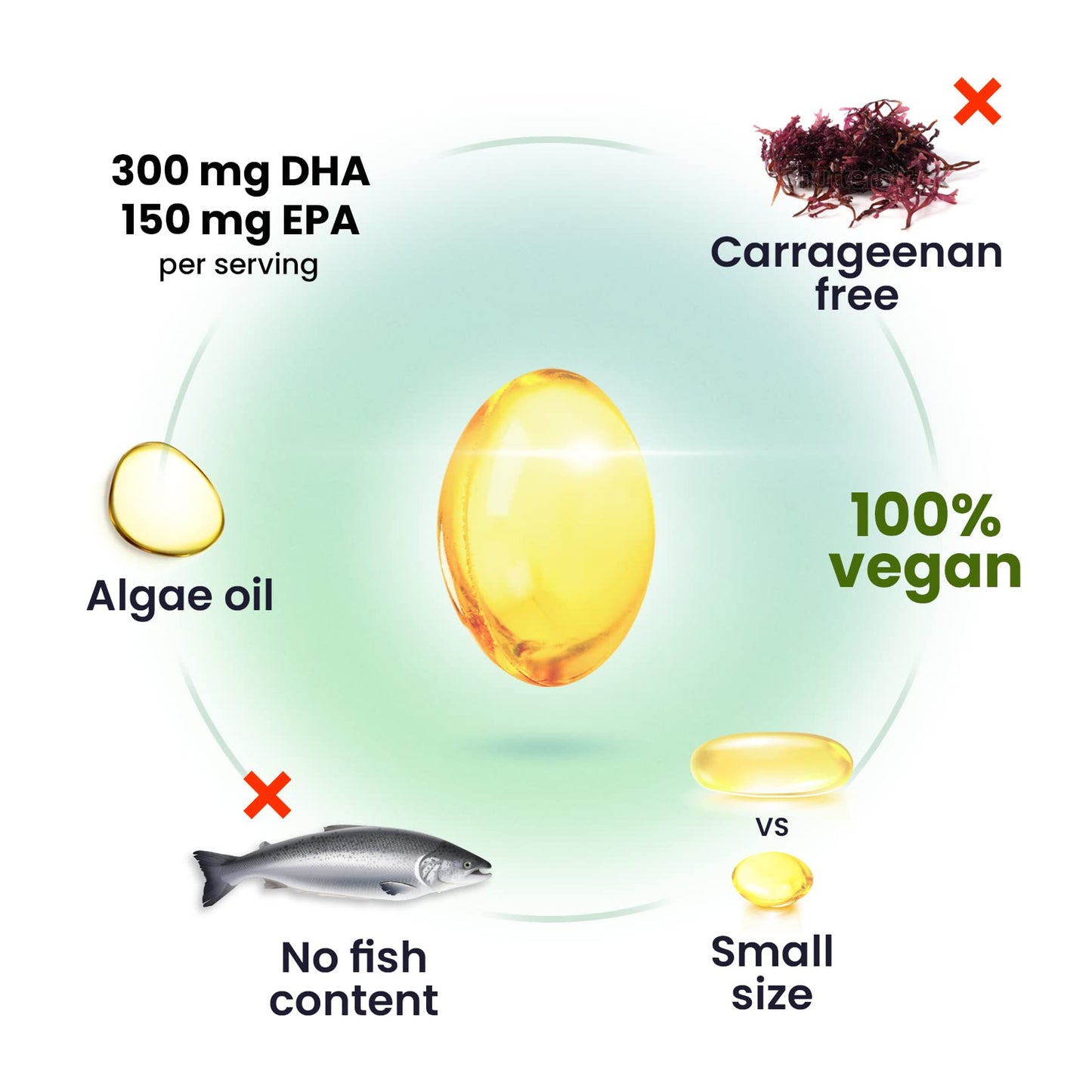 DR. MORITZ Vegan Omega 3 DHA & EPA Supplement - Algae Omega-3 Fatty Acids 1000mg - Fish Oil Alternative for Heart, Brain, Joint, Immune System Support 30 Count(Pack 1)