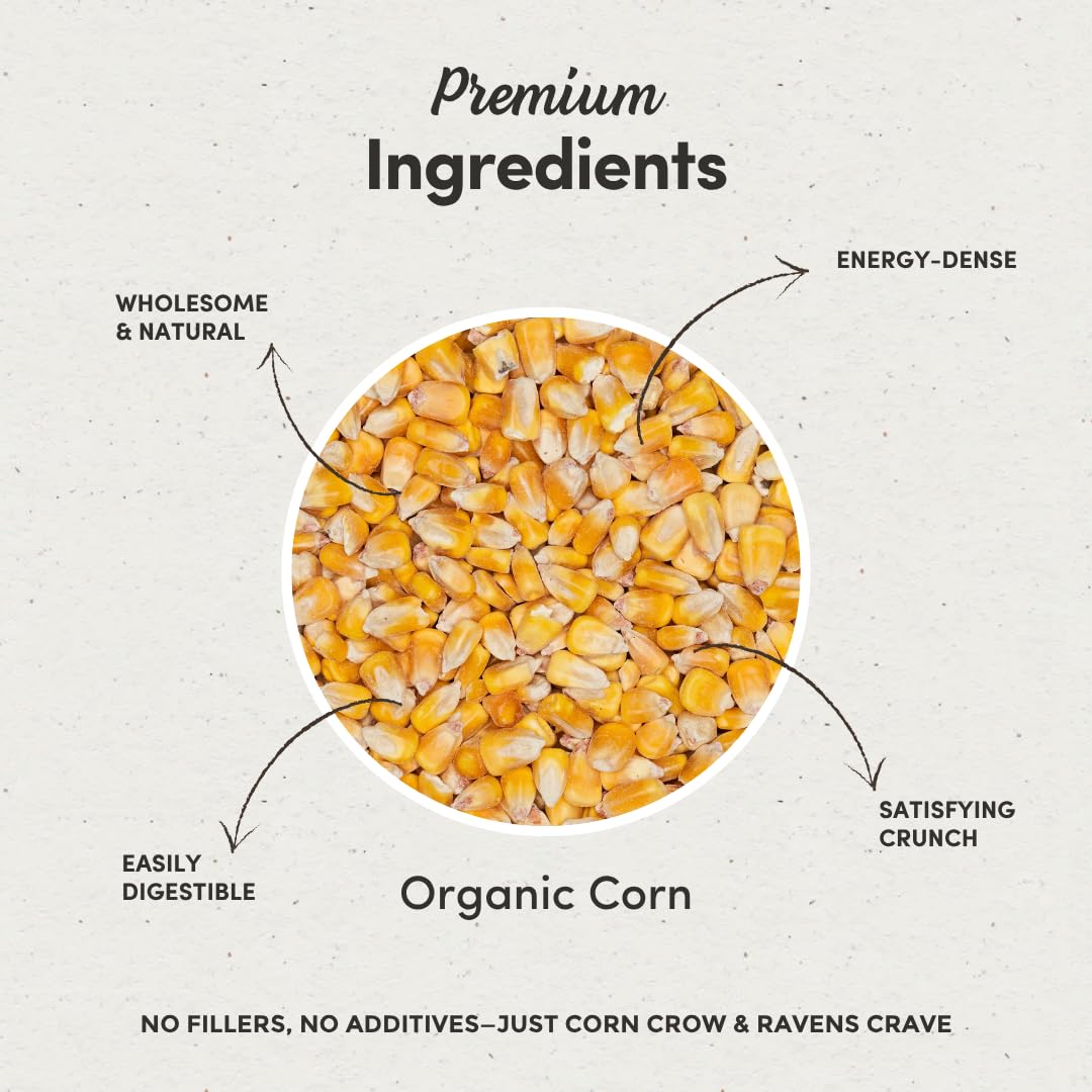 Mycelium Premium Whole Corn – 5LB Organic Non-GMO Bird Food for Crows, Ravens, Ducks, Geese, and Wild Birds – High-Energy No-Mess Corn Feed for Ground Feeding and Platform Feeders – USA Grown