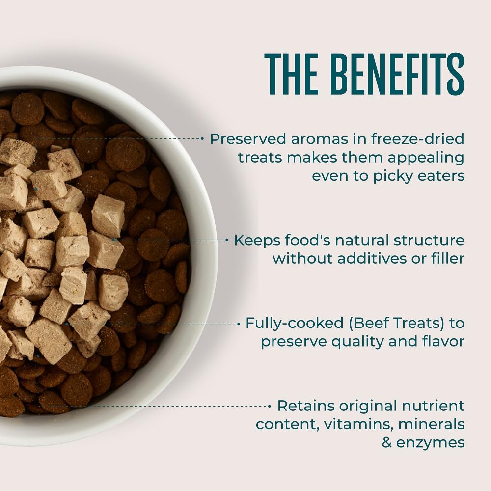 WagWell Freeze-Dried Beef Dog Treats - Grain-Free, High-Protein Fully Cooked Dog Treats Made in The USA - Human-Grade, Minimally Processed & Preservatives Free