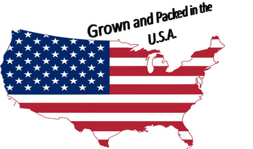 Honey Roasted Sesame Sticks Sesame Sticks 2 Lbs Bulk Delicious & Fresh Snack "Made in the USA"