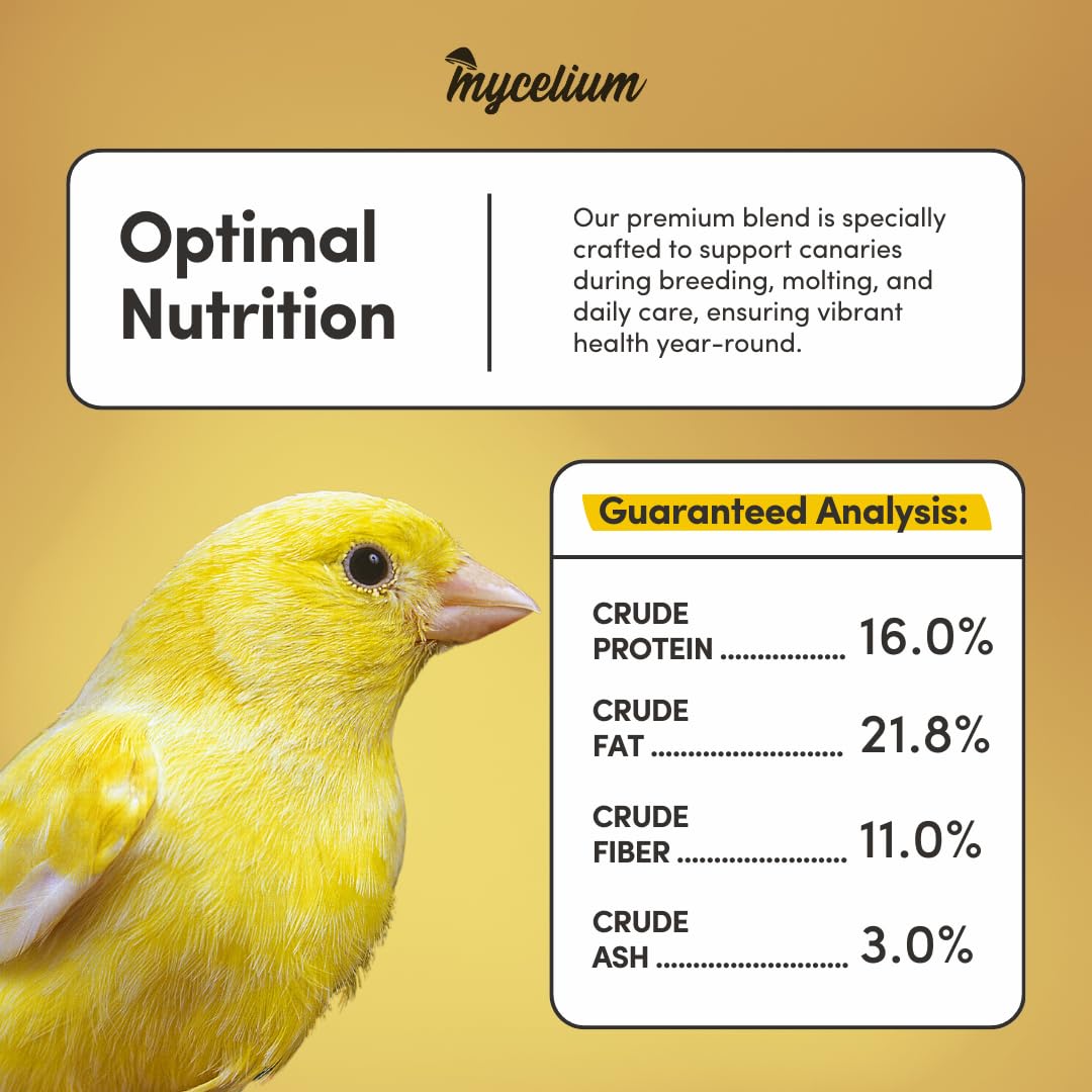 Mycelium Canary Plus Bird Seed (5 LB Bag) | High-Fat, Vitamin-Enriched Canary Food for Energy, Immune Defense & Feather Health | Organic Seed Blend for Small Pet Birds | Non-GMO & Made in USA