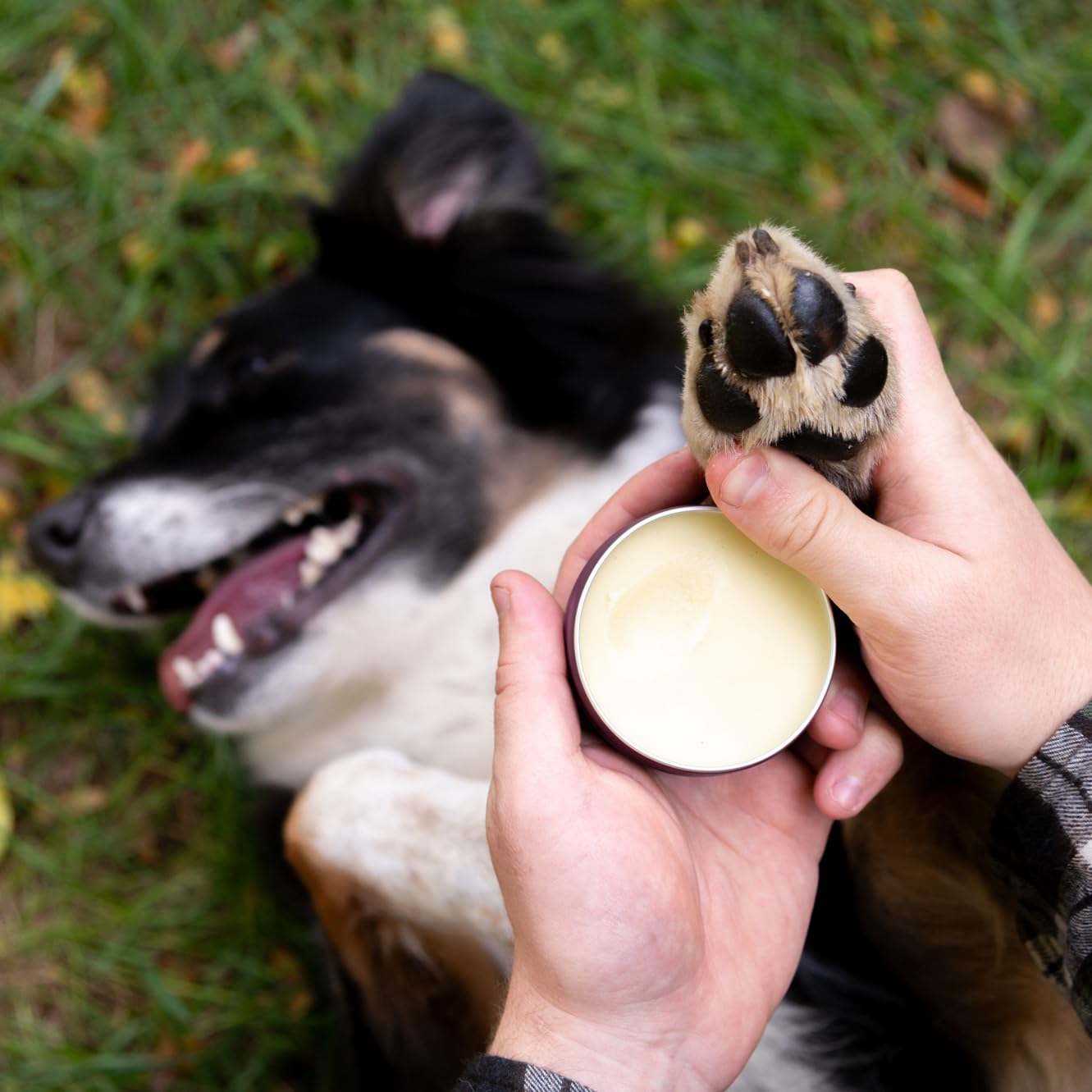 Hemp Well New Hemp Balm for Pets and People - Organic Pet Balm, Dogs and Cats, Human - Relieves Dryness and Cracking for Paws, Skin, and Nose, 2 oz.