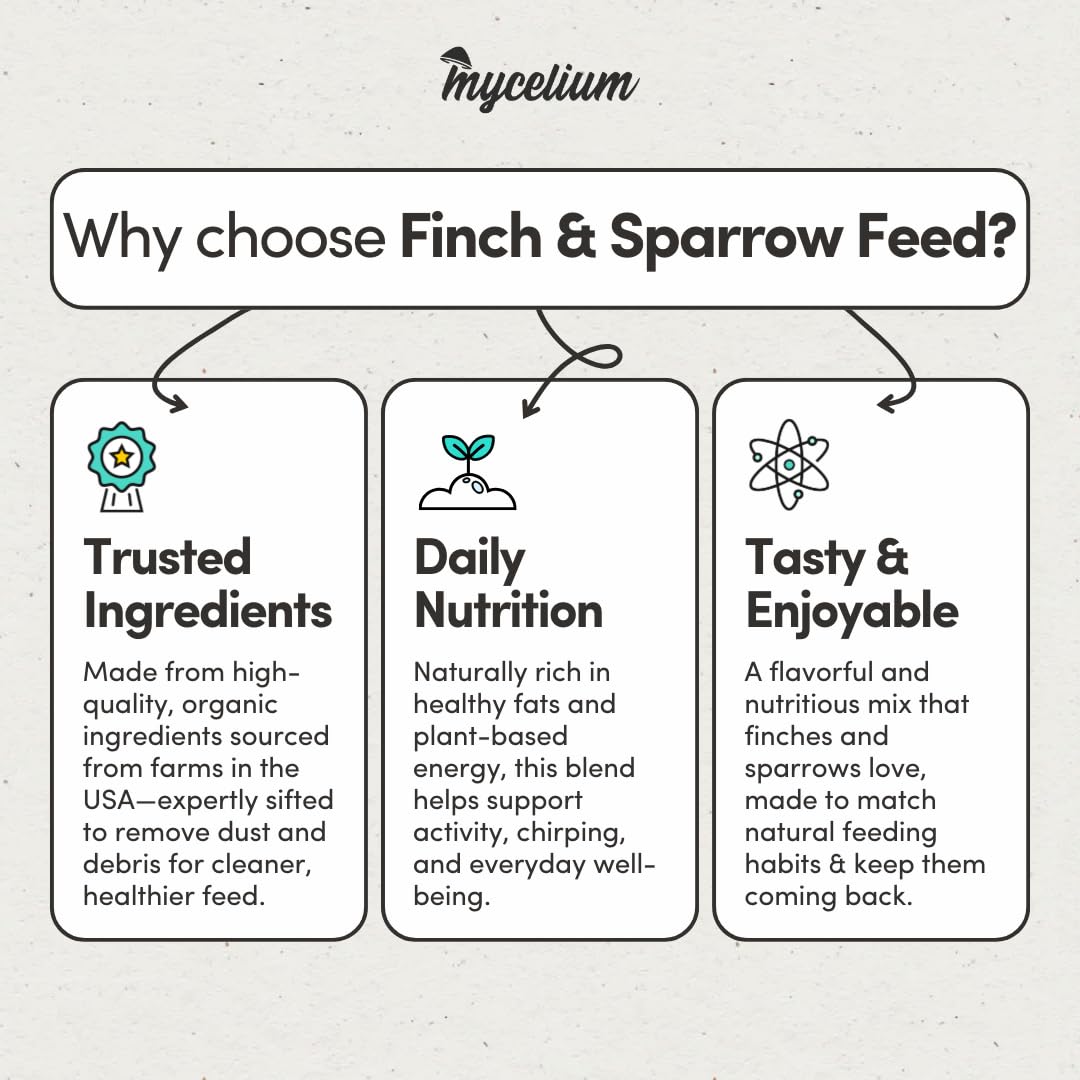 Mycelium Organic Finch & Sparrow Wild Bird Food (5 LB Bag) | Premium Seed Mix for Songbirds | Balanced Energy & Nutrition | Sifted, Low-Waste, Made in USA