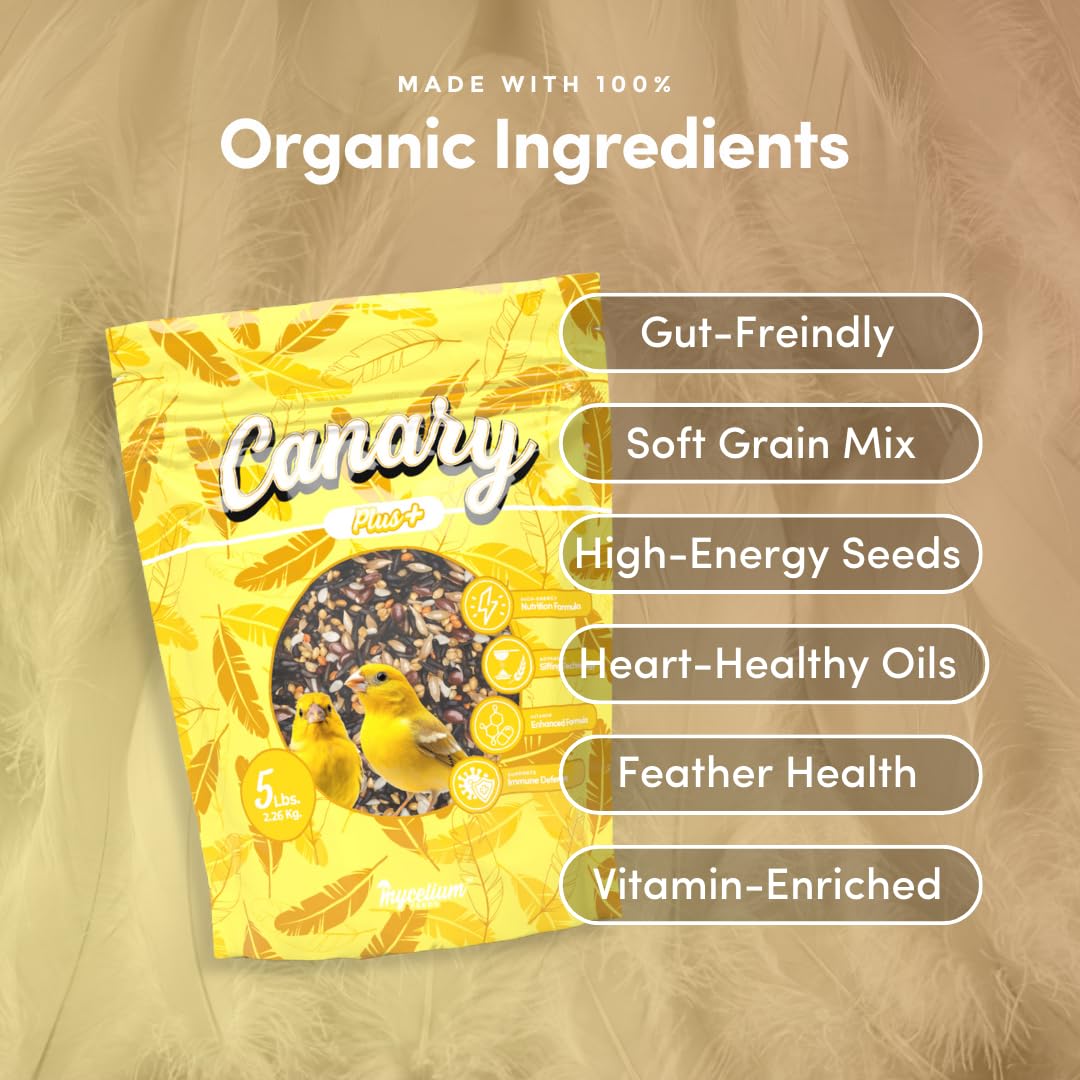 Mycelium Canary Plus Bird Seed (5 LB Bag) | High-Fat, Vitamin-Enriched Canary Food for Energy, Immune Defense & Feather Health | Organic Seed Blend for Small Pet Birds | Non-GMO & Made in USA