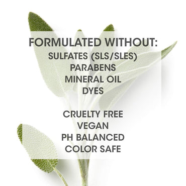 SEVEN Satara Boost Hairspray, Root Lifter Volumizing Hair Spray Volumizer for Fine Hair, Dry Shampoo Alternative, Lightweight, Extra Hold, Boost Volume, Made in USA with Vitamin B5 & Chamomile, 8oz